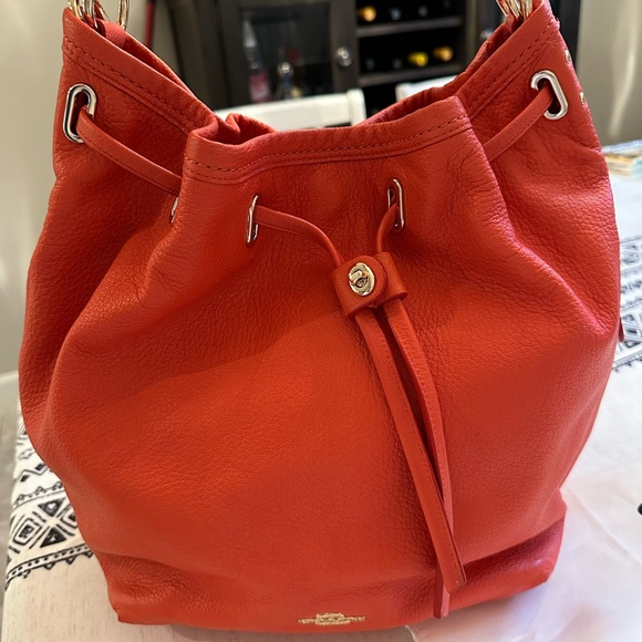 EUC COACH 34988 TURNLOCK TIE MATTE SOFT GRAIN LEATHER BUCKET SHOULDER BAG - Picture 13 of 15